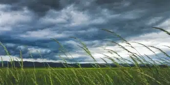 Stormschade-storm-inboedelverzekering-opstalverzekering-inboedel-verzekeren-tegen-stormschade-schade-door-storm.jpg